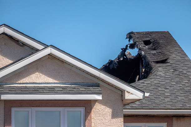 Top rated local Odor Removal specialists in Dayton, KY